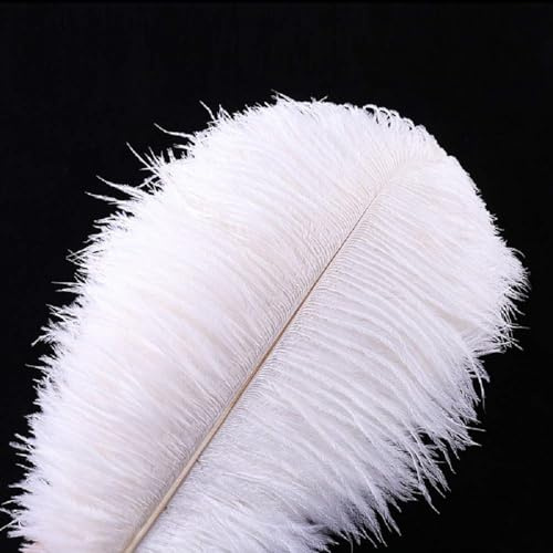10pcs Plume d'Autruche Naturel Artisanat 16-18 Pouce (40-45 cm) Plume pour Centres de Mariage Décoration de La Maison, Couture, Artisanat, Costumes, Fête à Thème, Décoration de Noël (40-45cm,Blanc)
