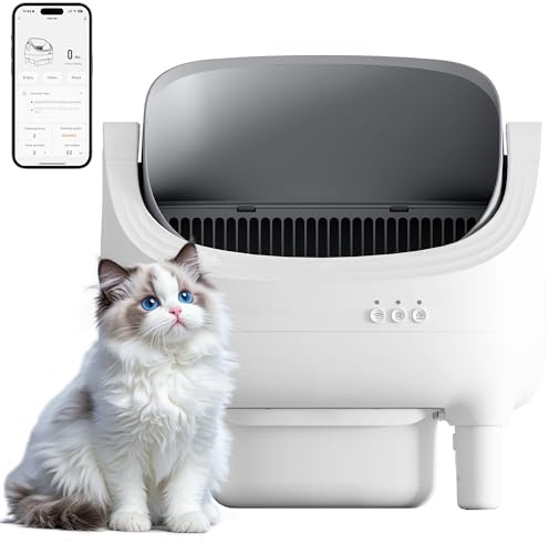 JUMMICO Automatisches Katzenklo Elektrisch – Selbstreinigende Katzentoilette mit APP Steuerung, 12L XXL-Kapazität (15 Tage), Offenes Design & 8-facher Sicherheit für Alle Katzen (1,5-15kg), Gesundheit