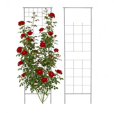 Relaxdays Rankgitter, 2er Set, HxB 193 x 58 cm, Metall, Rankhilfe für Kletterpflanzen, Garten, Rosenrankhilfe, schwarz