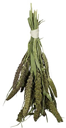 JR Farm Birds Grüne Senegalhirse Inhalt 50 g
