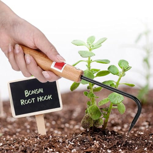 Gancio per bonsai robusto, gancio per radice bonsai, gancio per diserbo per orticoltura, gancio per radice di bonsai, gancio da giardino, singolo artiglio per scavare, diserbare, allentare,