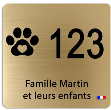 Plaque de porte personnalisée 8x8 cm – pictos animaux, loisirs, symboles– Acrylique Or ou Argent brossé – Numéro + 3 lignes – Gravure laser premium – Fabrication Française (Or Brossé)