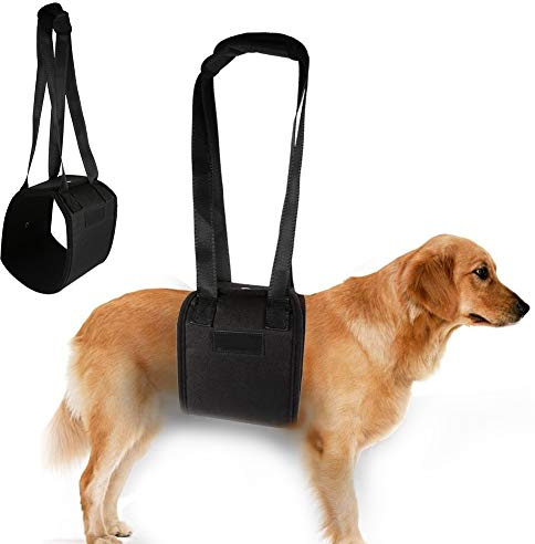 Hundegeschirr Hunde Tragehilfe Gehhilfe Gehhilfe Hund für Rehabilitation der Wirbelsäule des Hundes, der Hüft und Kniegelenke(M)