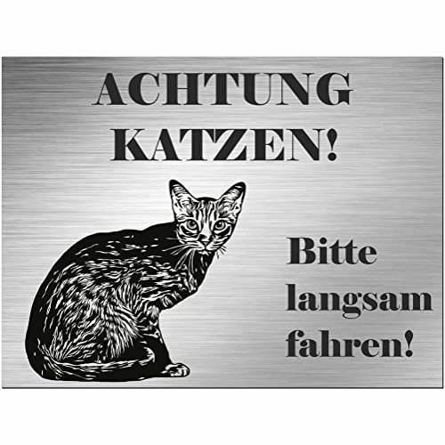 Indigos UG - Schild Ocicat Katze - bedruckt - Achtung Katzen! - Aluverbundplatte Edelstahl Look - 80x60 cm - Spruch - Deko Geschenkidee Katze - Zaun - Türschild - Hinweisschild - Warnschild