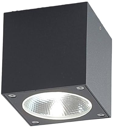 Lucande LED Deckenleuchten Cordy (spritzwassergeschützt (Modern) in Schwarz aus Aluminium (1 flammig,) - Außenleuchte für Garten Terasse Balkon & Haus Deckenleuchte