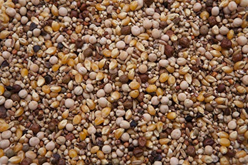 Flyer Pigeon Mix (14%) 20 lbs