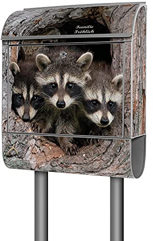 banjado® Briefkasten mit Standfuß personalisierbar Motiv DREI Waschbären - Stand Briefkasten mit Zeitungsfach pulverbeschichtet aus Stahl Silber - Postkasten A4 Einwurf inkl. 2 Schlüssel