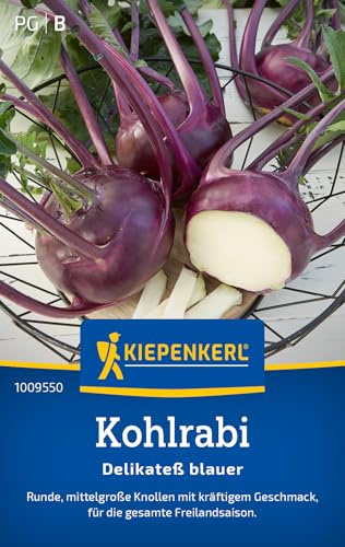 Kiepenkerl Kohlrabisamen Delikateß blauer 1009550, Gemüsesaat | Runde, Inhalt für 150 Pflanzen, Samen Kohlrabi, Wuchshöhe ca. 40-50 cm