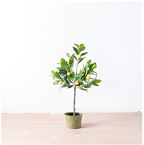 Grand citronnier artificiel - 70 cm - Plante artificielle en pot pour décoration de salon, fausse verdure réaliste, plante d'intérieur parfaite pour la décoration de la maison