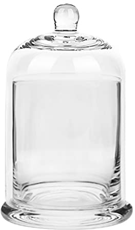 PRETYZOOM Terrarium Glass Jar with Glass Dome Lid for Plants, Food Container, Candle Jars