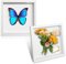 3D Marco de Fotos, 2 Piezas Marcos con Profundidad 20x20 cm, Marco de Objeto Rellenable Forma Cuadrada para Medallas Flores Secas Souvenirs Fotografías, Marcos con Profundidad 3cm(Blanco)
