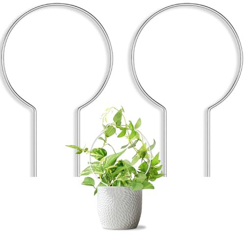 JETTIFY Lot de 2 treillis ronds pour plantes en pot d'intérieur et d'extérieur, petits treillis en acrylique pour plantes grimpantes, support de plantes pour Hoya Pothos, vigne, lierre, Monstera,