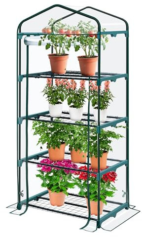 KANWOD KGAGH-1550 - Serra da Giardino con 4 Ripiani, con Porta Arrotolabile, Trasparente, Stabile e Facile da Montare, Serra per Piante da Esterno per Balcone, Terrazza e Giardino, 158 x 68 x 50 cm