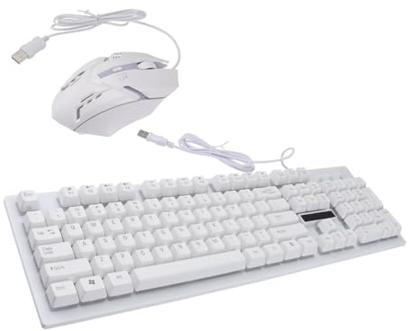 Wired Gaming Keyboard Mouse Set with 104 Keys White | Luminous Plastic Build, Wear-resistant 4-key Mouse, Non Conflict Design, Back to School Party