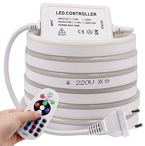 KISUFU RGB Neon LED Streifen,Neon Wasserdicht Strip 220V Outdoor Flexibler DIY Lichtband für Innen Weihnachtsfeier Aussenbereich Schlafzimmer, Schrank, Bar,mit Netzteil und 24 Tasten Controller (4m)