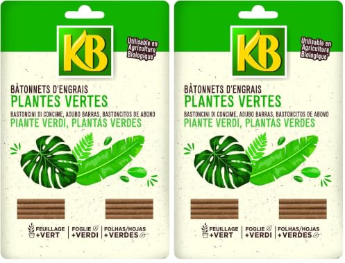 KB Bâtonnets d'engrais Plantes Vertes x40 (Lot de 2)