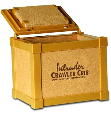 INTRUDER NightCrawler Worm Bait Box, Keeps Bait Fresh, Packed with Good N' Lively Worm Bedding, 8-inch x 6-inch x 7-inch