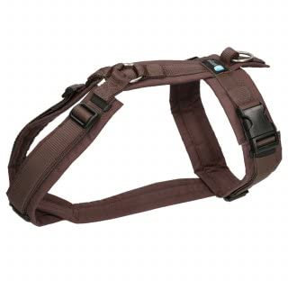 annyx Brustgeschirr Fun braun/braun (M)