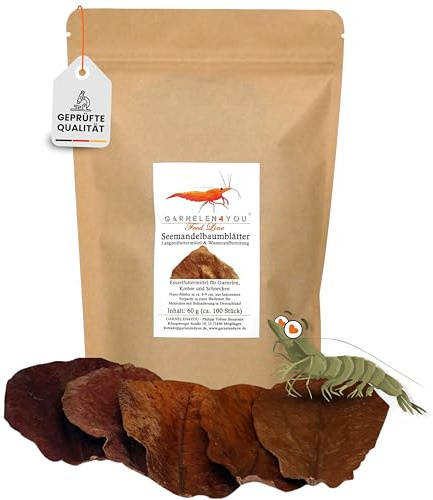 GARNELEN4YOU® Catappa - Foglie di mandorlo marino, mangime a lungo termine e trattamento dell'acqua, confezione ecologica, gamberetti, granchi, lumache (6-9 cm, 100 pezzi)