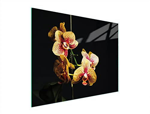 DarHaus Herdabdeckplatte 52x40 cm 1-teilig Ceranfeldabdeckung Induktion Herdschutz Spritzschutz Glasplatte Deko Schneidebrett, Orchidee Schwarz