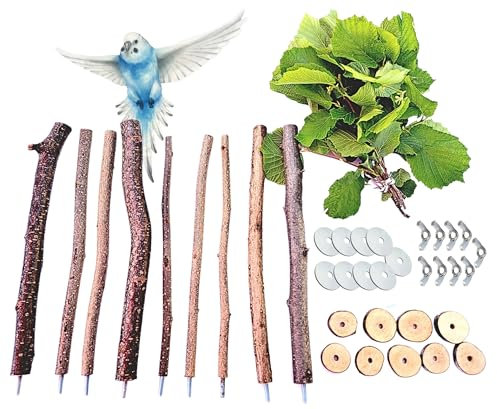 9 Vogel Sitzstangen Sitzstange Natur frisch + Bund fri. Zweige knabbern Sitzbretter Spielzeug Käfig Vogelstange Vogelsitzstangen Haselnuss Holz Set für Wellensittich Nymphensittich Kanarienvogel