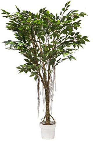 VEA SRL Plante G. FICUS REALTOUCH 150 cm 57965