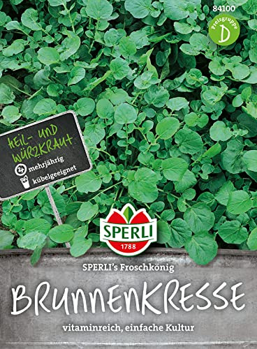 Brunnenkresse Froschkönig