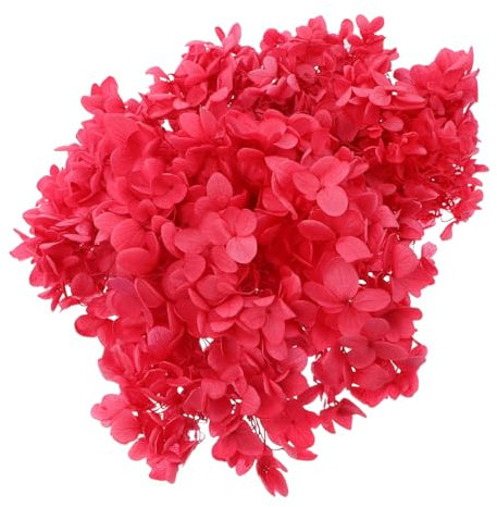 MAGICLULU Fleurs D'hortensia Séchées Naturelles, Matériau pour Bricolage DIY, Grandes Feuilles, Couleur Rouge Vif, Décorations Créatives pour Maison Et Fête, Boîte De Fleurs Immortalisées