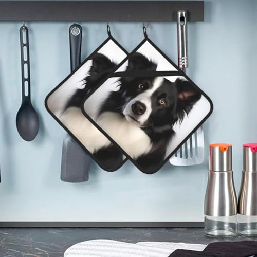 Border Collie Pot Holders 2 Pack Heat Resistant Potholder with Pocket Multipurpose Hot Pads Washable Oven Mitts Cooking Pads Large Coasters Trivets for Kitchen 8 X 8 Inches