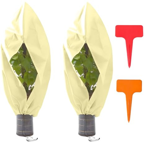 ZYNERY 2 Stück Winterschutz-Haube für Pflanzen – Größen 120×180cm, 60g/m² Frostschutzvlies, Wetterfest gegen Kälte/Wind, Schutz vor Vögeln/Insekten, Für Kübelpflanzen/Palmen/Olivenbäume