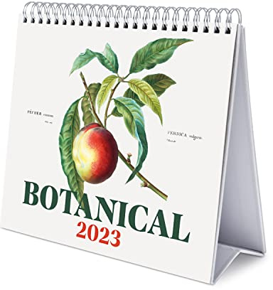Grupo Erik Tischkalender 2023 - Botanical Kalender 2023 Tischkalender - Botaniker Tischkalender 2023 Quer Format - Tischkalender 2023 zum Aufstellen - FSC zertifiziert - Offizielle Lizenz