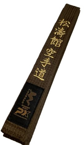 TEKKA BUDO Karategürtel braun - Bestickt - Shotokan Karate Do - 330 cm - Schriftzeichen Bestickung Gold - Braungurt Kanji japanisch - Brauner Gürtel