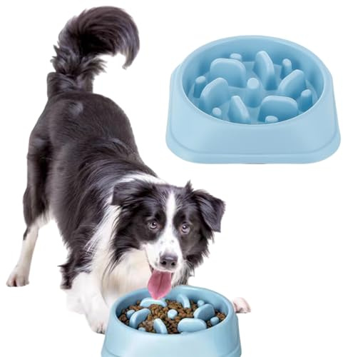 Antivoracità Mangiatoia per cani - Alimentazione lenta e antiscivolo - Ciotola per cani