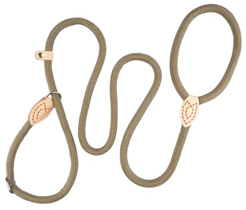 150 cm Hundeleine mit Halsband,Einstellbar Retrieverleine mit Zugstopp | Geflochten, Weiche Trainingsleine für Kleine Mittlere und Große Hunde