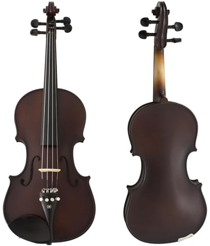 Full Size Violin, Full Size with Strings and Rosin, Full Size Violin for Beginners (4/4 Full Size)