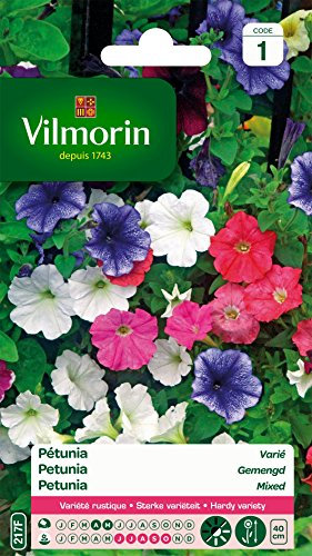 Vilmorin 5510541 Pétunia varie, Multicolore, 90 x 2 x 160 cm