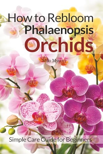 How to Rebloom Phalaenopsis Orchids: Simple Care Guide for Beginners