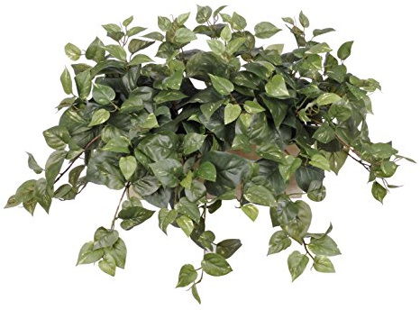 House of Silk Flowers Artificial Pothos in White-Wash Wood Ledge