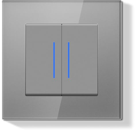 BSEEDLIFE Interrupteur Mural 2 Gang 2 Voie 86 * 86mm,Interrupteur Encastrable Modern avec Indicateur LED avec Cristal Cadre en Verre,Installation Facile,Gris
