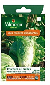 Vilmorin - Pan di zucchero a pacchetto di semi di cicoria con foglie migliorate