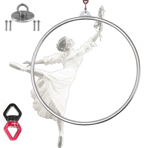 FFYUTING Aerial Hoop Lyra Set, 2,5 cm Rohrdurchmesser Edelstahl Single Point Aerial Hoop Ausrüstung, Circus Fitness Aerial Hoop für Tanzstudio, Aerial Fitness
