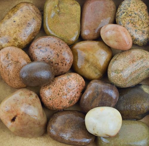 Scottish Pebbles 30-50mm | Scottish | Decorative Aggregate, Garden Stones, Chippings, Driveway Surface (1, 20kg)