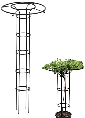 woyufen Rankhilfe Obelisk aus Eingebautes Stahlrohr mit Kunststoffbeschichtung, 180cm, Ranksäule witterungsbeständig freistehend f. Kletterpflanzen u. Rosen