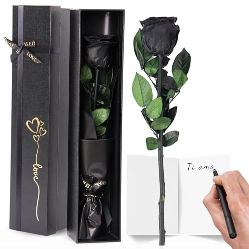 Trends by Twins® Ewige Rose, Infinity Rose als Geschenk für Frauen und Freundin Geschenk, Kunstblumen wie echt. Rosen, Beste Freundin Geschenke und Mama. (Schwarz/Schwarz)