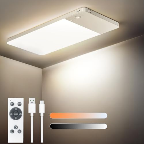 SNADER LED Deckenleuchte mit Bewegungsmelder & Fernbedienung | Deckenlampe Dimmbar & Kabellos - Deckenleuchte mit 12000 mAh Akku – Ultralanger Laufzeit für Treppen, Flure, Garage (1)