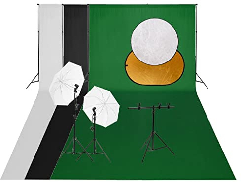 vidaXL Kit de Estudio fotográfico con Set de Luces, Fondo y Reflector