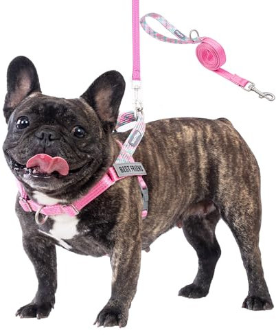 Wuffley Anti-Zug Hundegeschirr mit Leine, Hundegeschirr Kleine Mittelgroße Hunde, Geschirr Hund mit Griff und 2 Aufnähern, Reflektierendes, Leichtes Brustgeschirr Hund für Outdoor-Training（Rosa，S