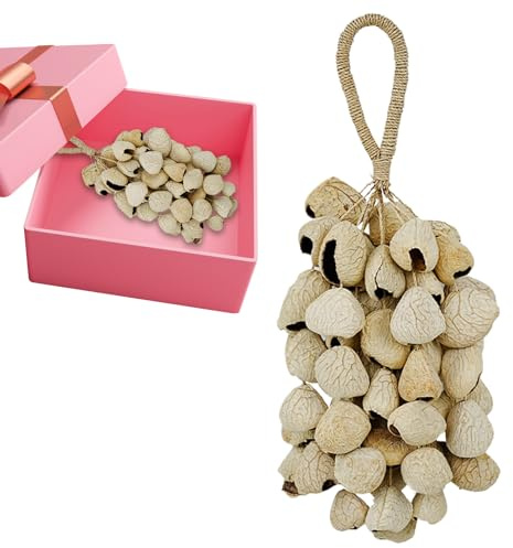Africain Hand Shaker - Rattles de noix de coco à la main, Shaker de relaxation artisanale, durabilité assurée Instruments de percussion de style africain | Méditation de soulagement hochet pour femmes