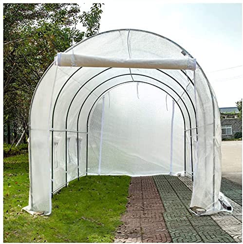LSDRALOBBEB Treibhaus Foliengewächshaus Walk in Garden Gewächshaus mit Regalen Green House Grow House Abnehmbare Abdeckung Heavy Duty PE Hot House, wasserdicht 807(Color:White)
