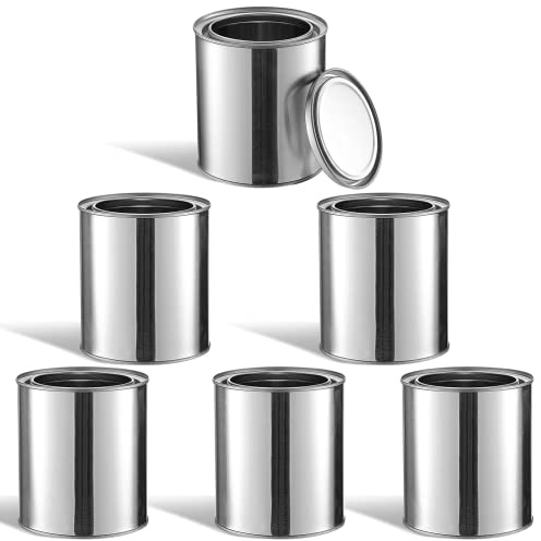 Homaisson 6PCS Metal Paint Cans, Empty Unlined Paint Cans with Lids, Quart Metal Paint Pails for Crafts DIY Projects, Multipurpose Storage Containers for Paints, Solvents, Adhesives